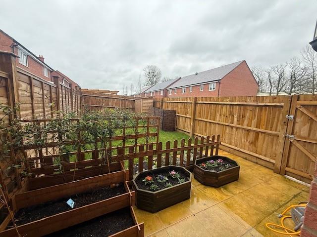 Garden.jpg