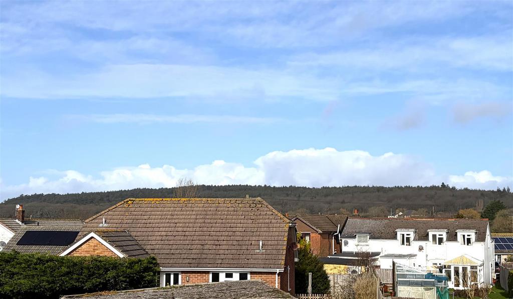 View of Parkhurst Forest