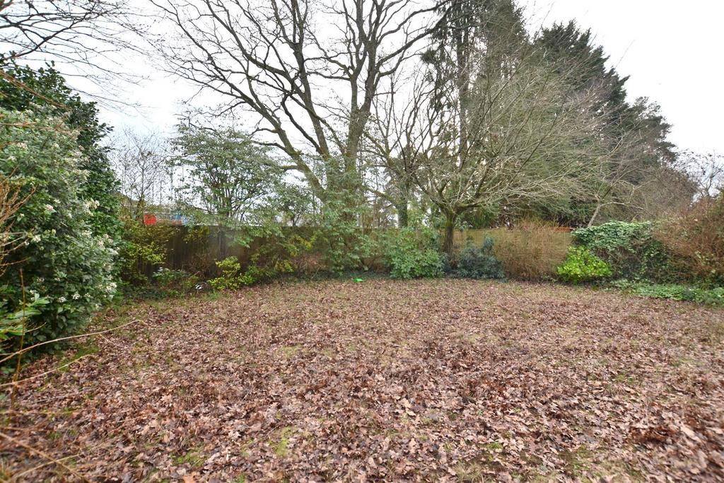 Garden 1.JPG