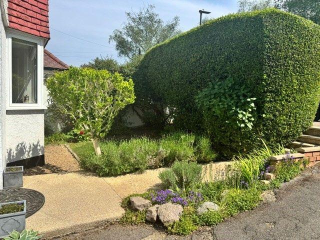 Garden view, garden