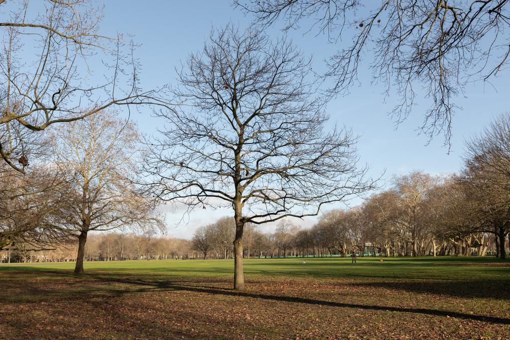 325420 - RF-CHISENHALE-RD-32.jpg