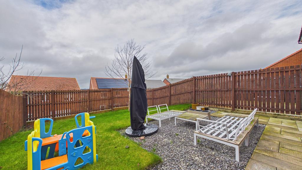 Back Garden (1)