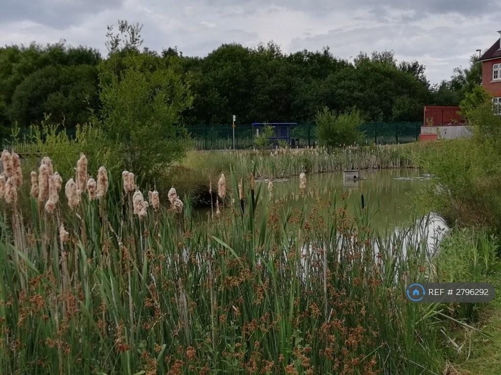 Nearby Landscape