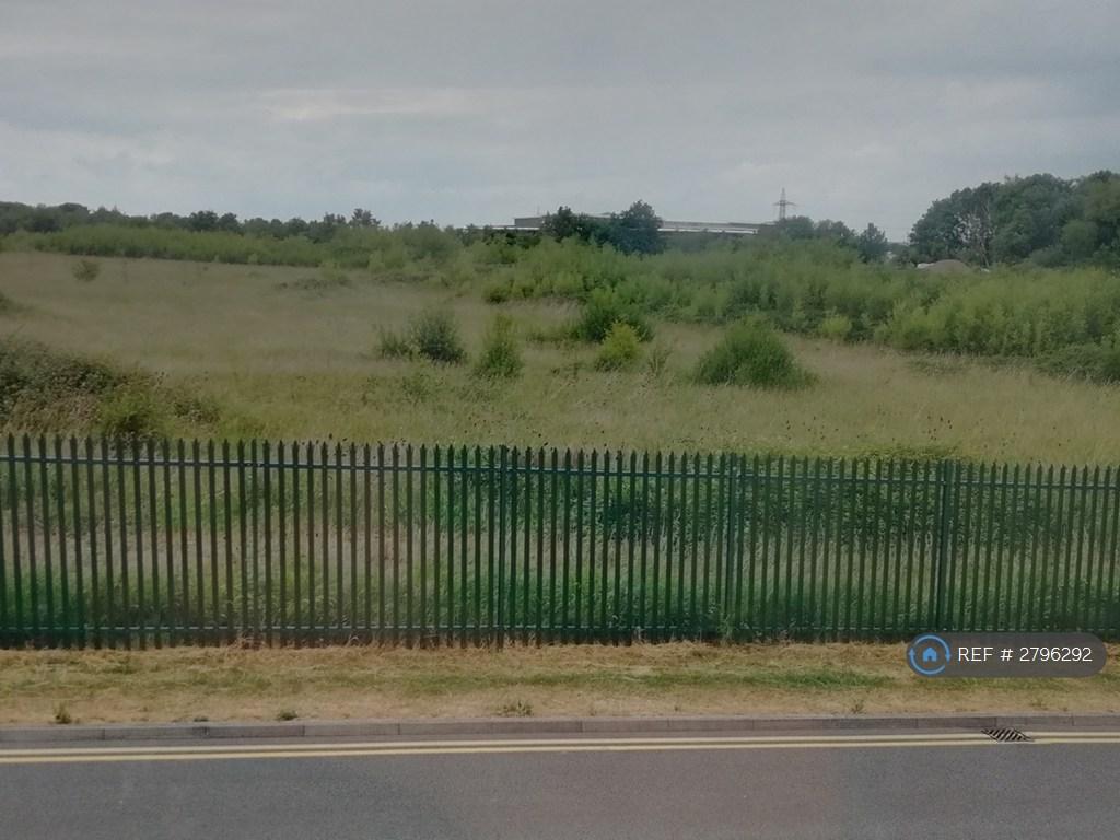 View From Rear Windows