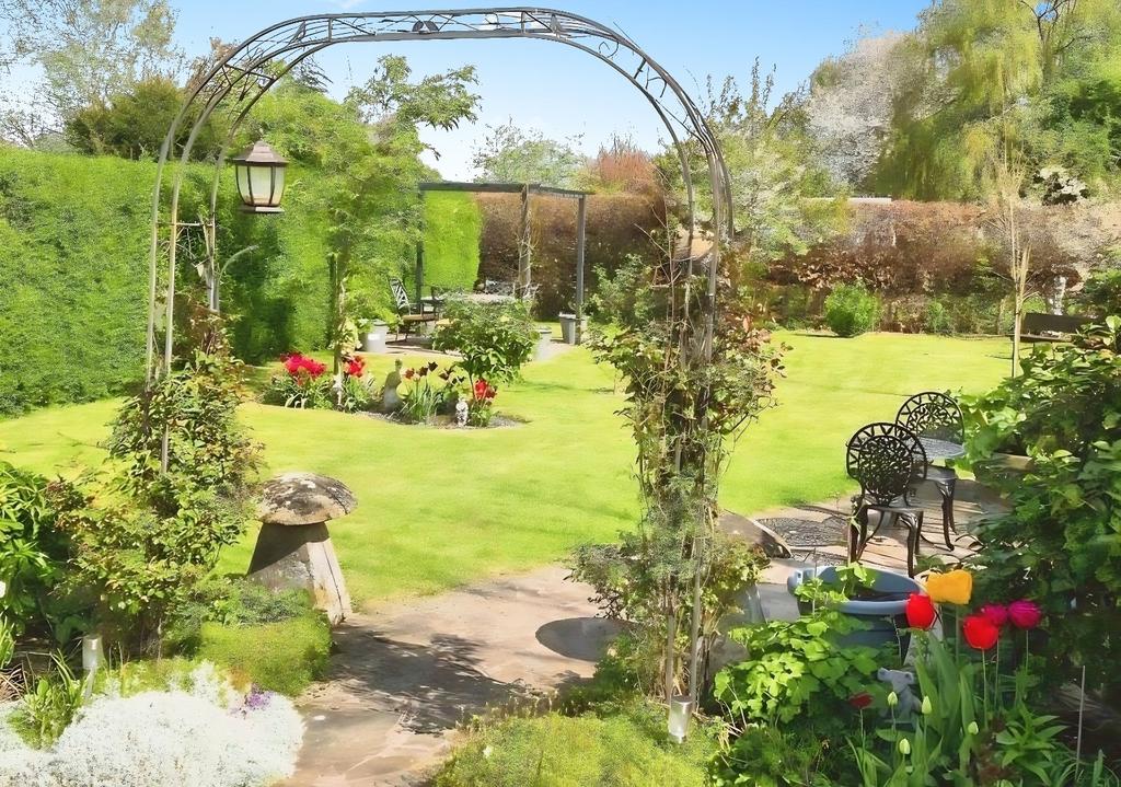 Garden - Summer