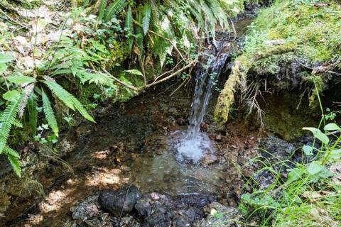 undefined, Yellen Wood, Pipers Pool, Launceston, Cornwall PL15