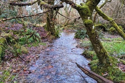 undefined, Yellen Wood, Pipers Pool, Launceston, Cornwall PL15