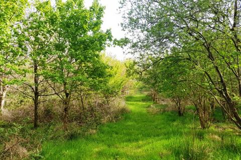 Woodland for sale, Heggadon Wood, Ashwater, Near Holsworthy, Devon  EX21