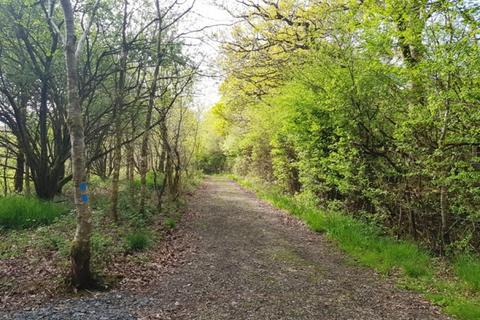 Woodland for sale, Heggadon Wood, Ashwater, Near Holsworthy, Devon  EX21