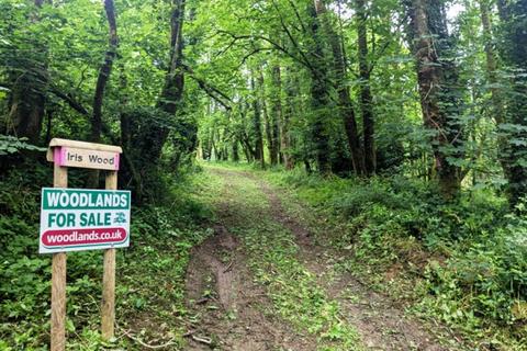undefined, Iris Wood, Lanivet, Bodmin, Cornwall PL30
