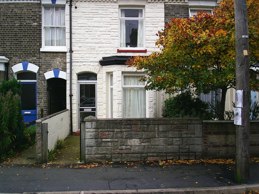 Main Image (Main)