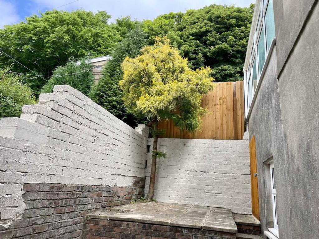 Rear yard