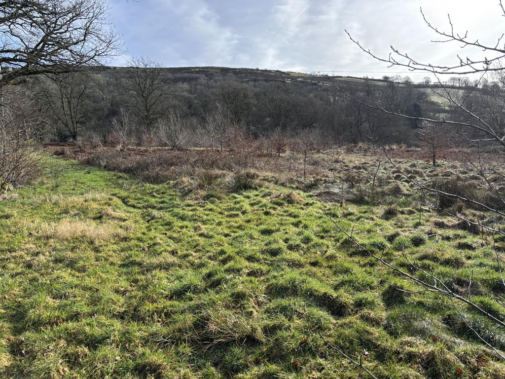 Land to South