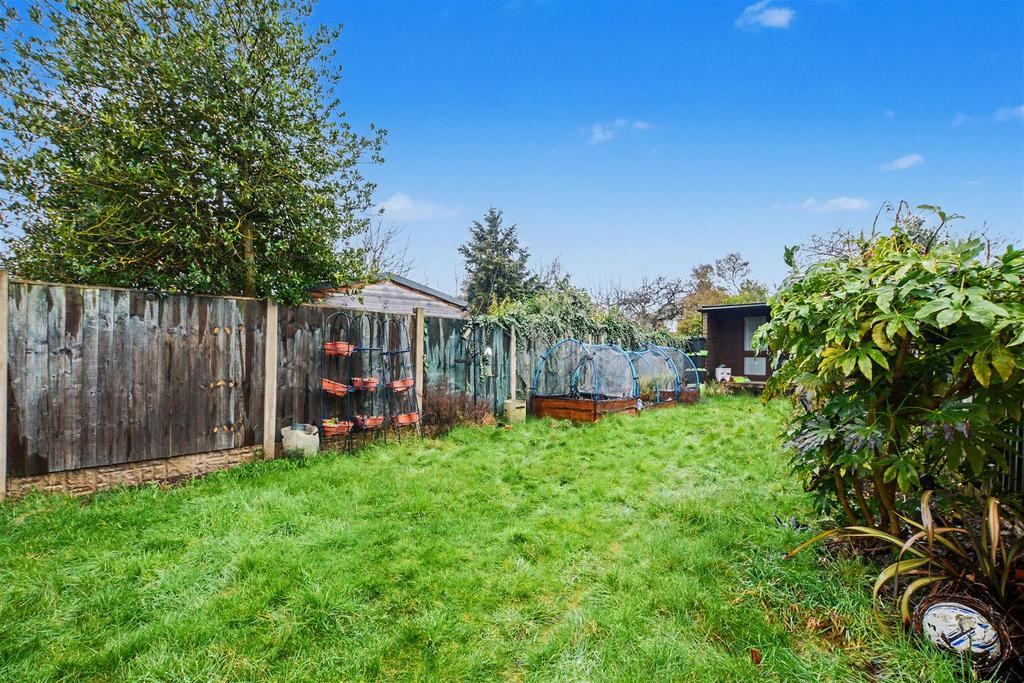 Garden 3.jpeg
