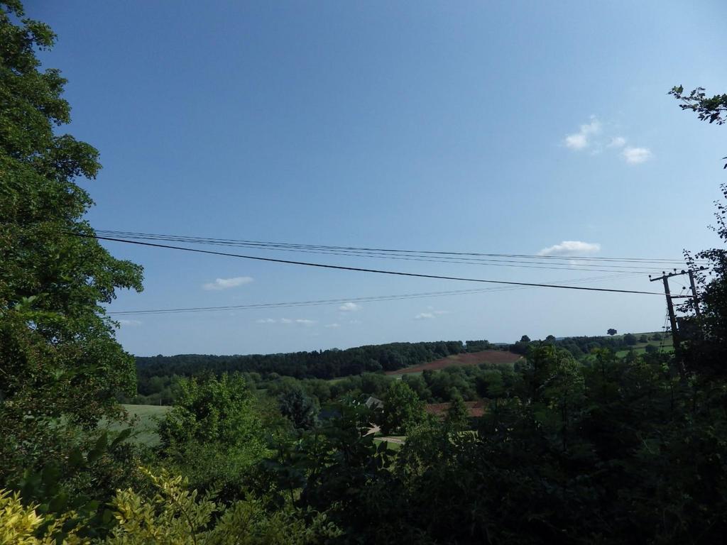 Imgp2773.jpg