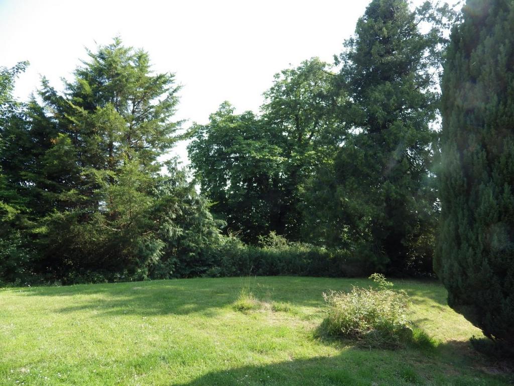 Imgp2770.jpg