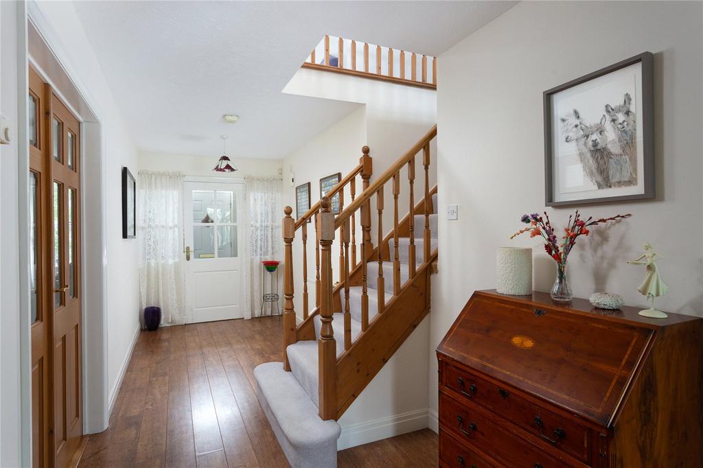 Photos