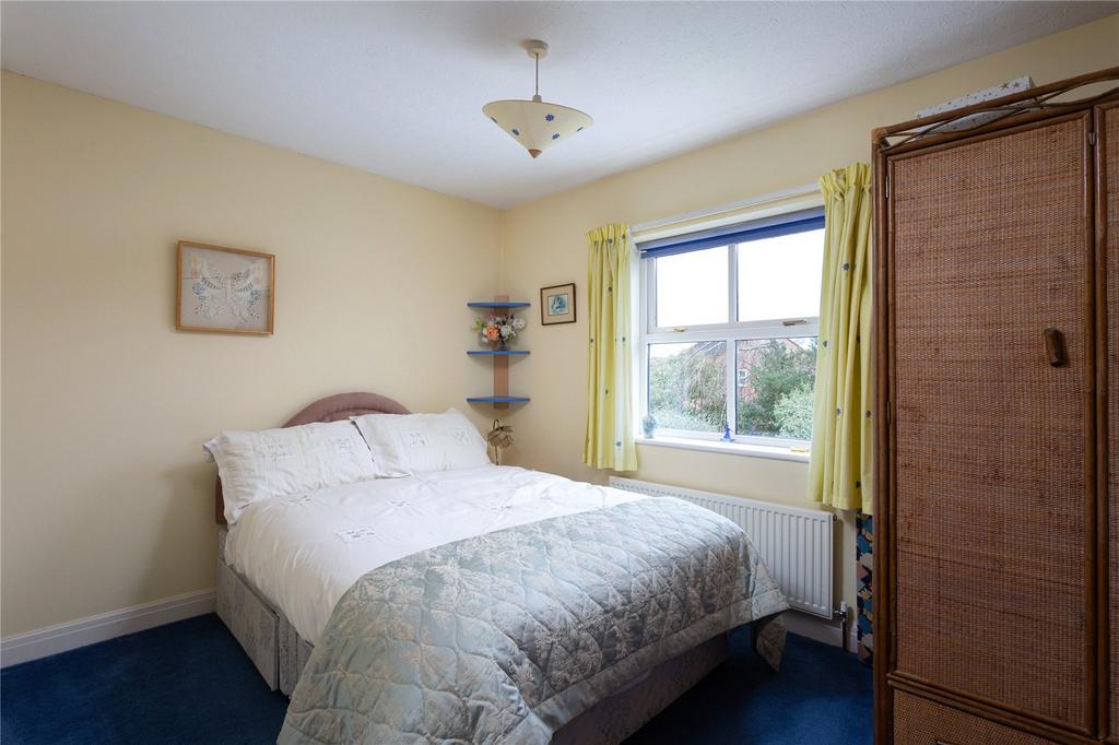 Photos