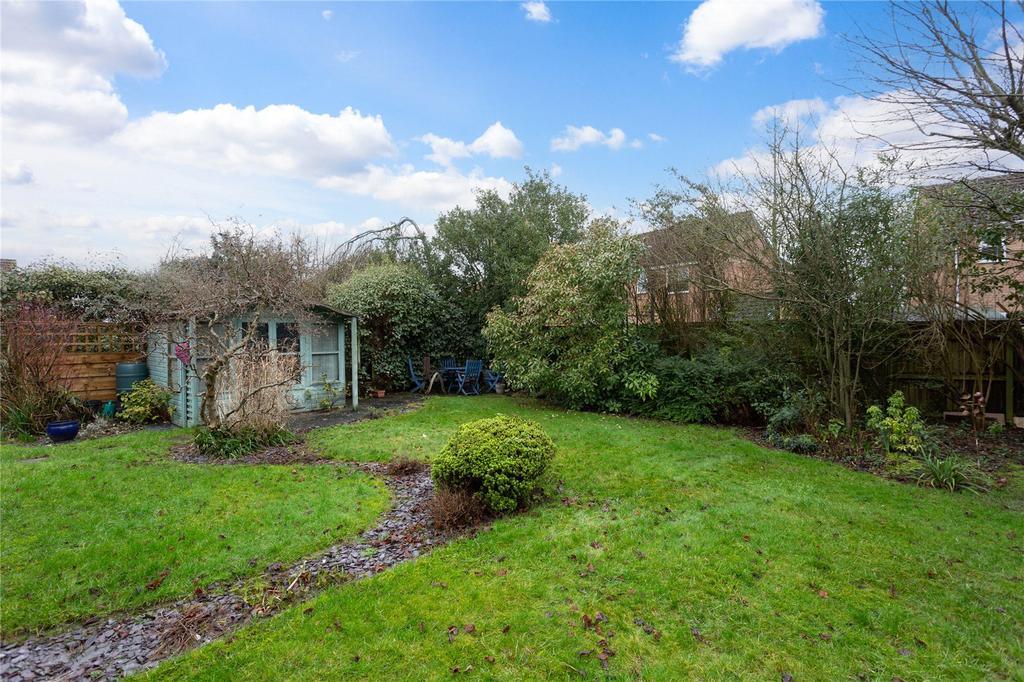 Photos