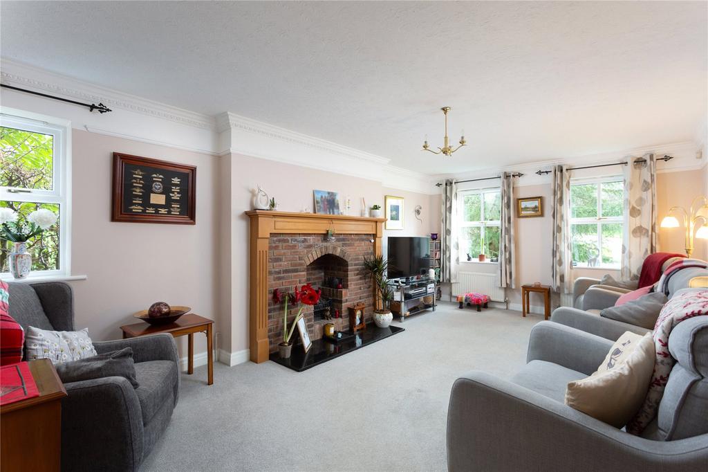 Photos