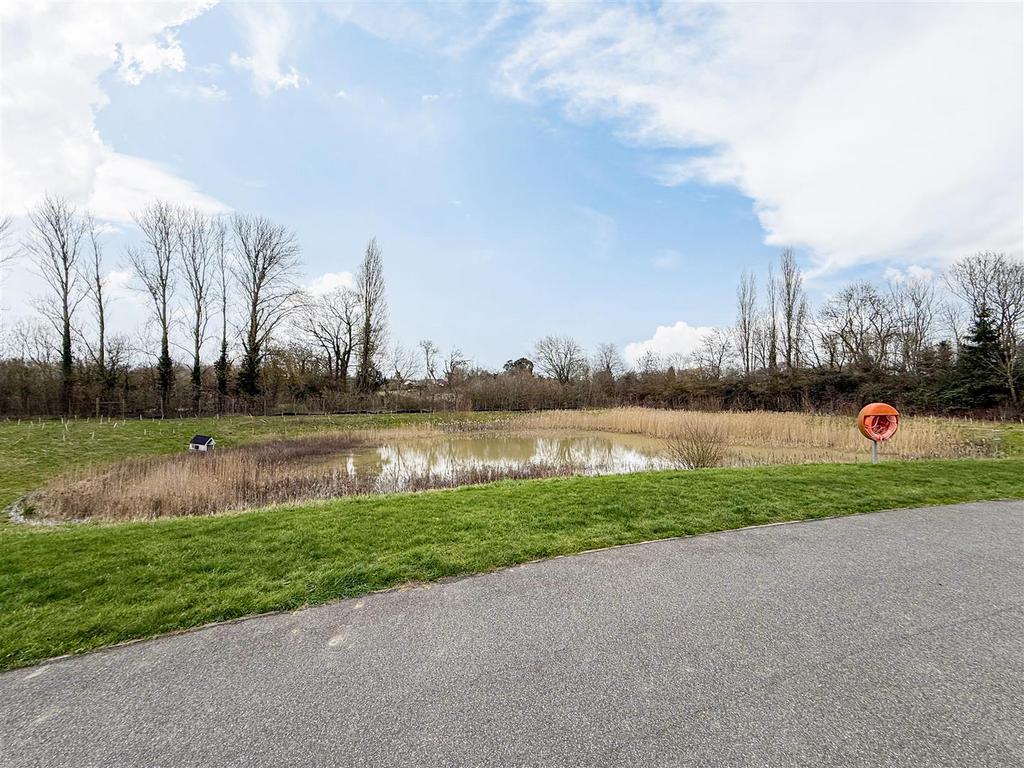 Pond view