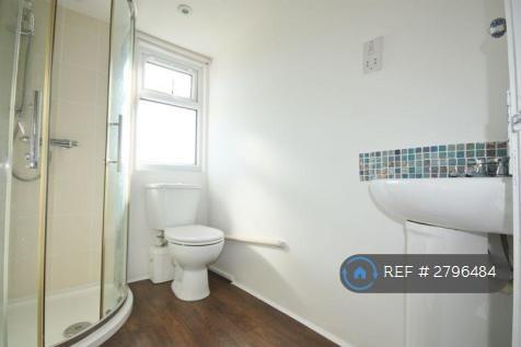 Main Bathroom Downstairs