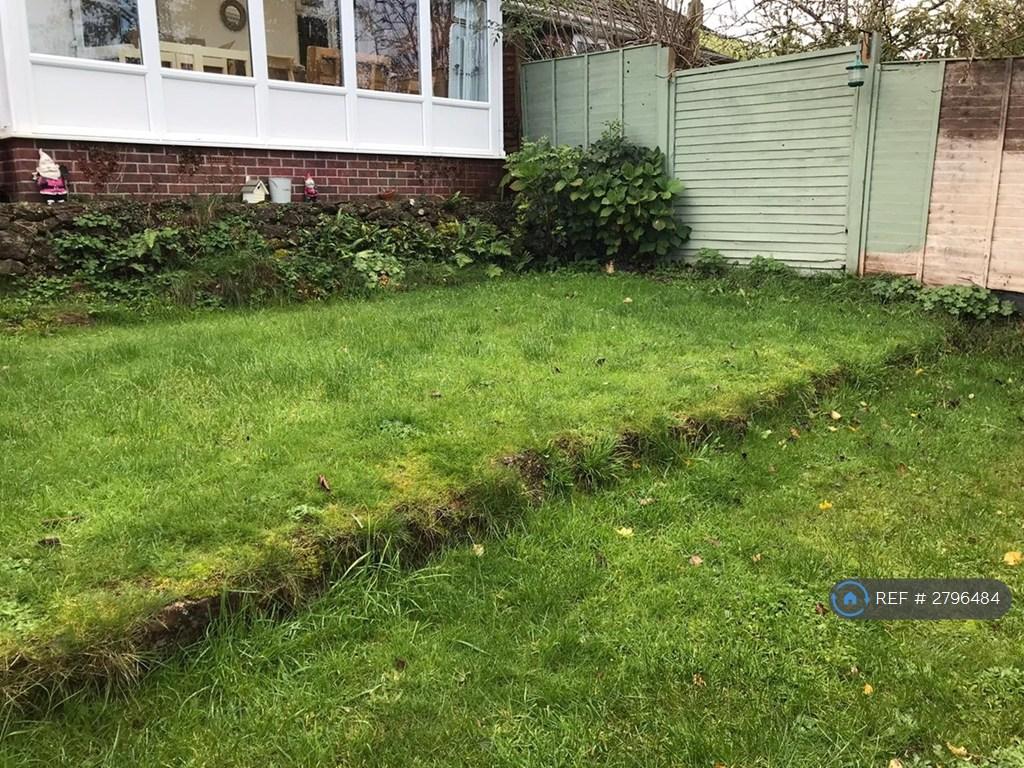 Back Garden 3