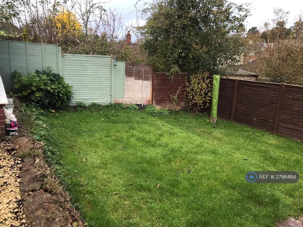 Back Garden 2