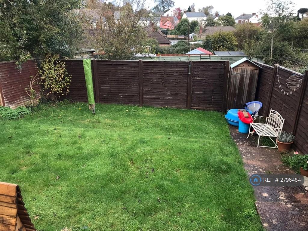 Back Garden 1