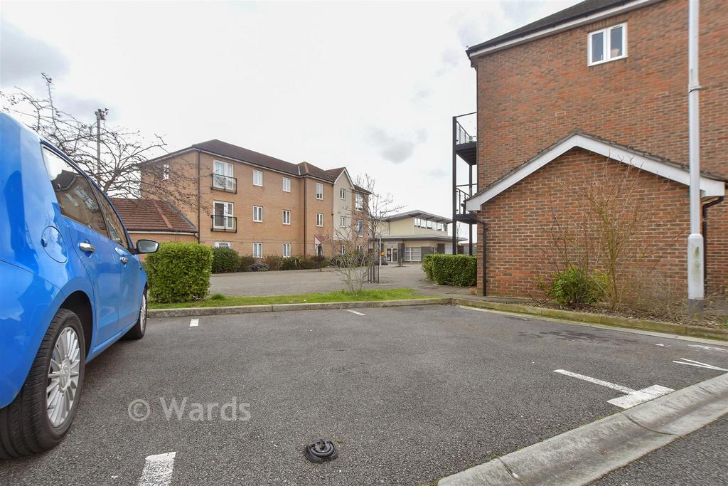 Driveway/Parking