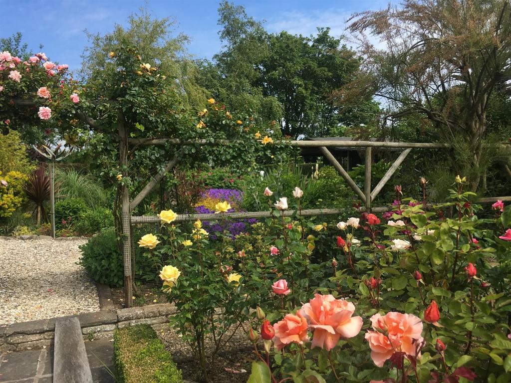 Garden: