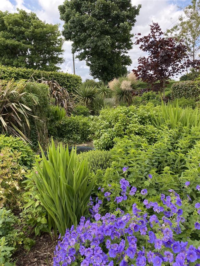 Garden: