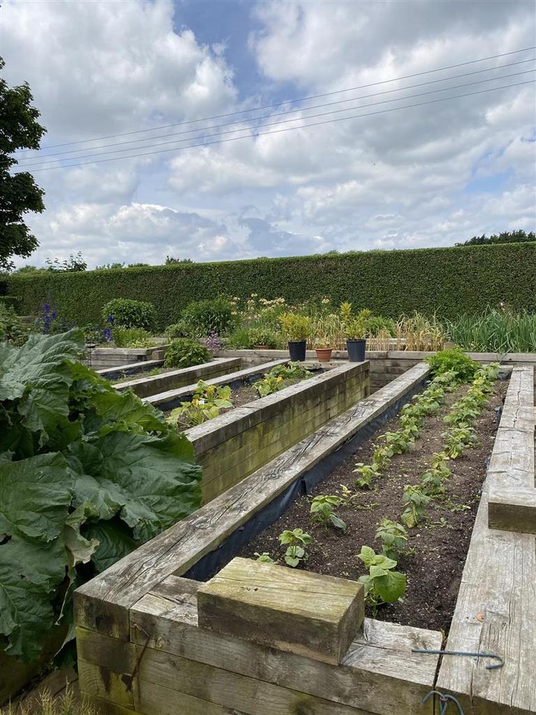 Garden: