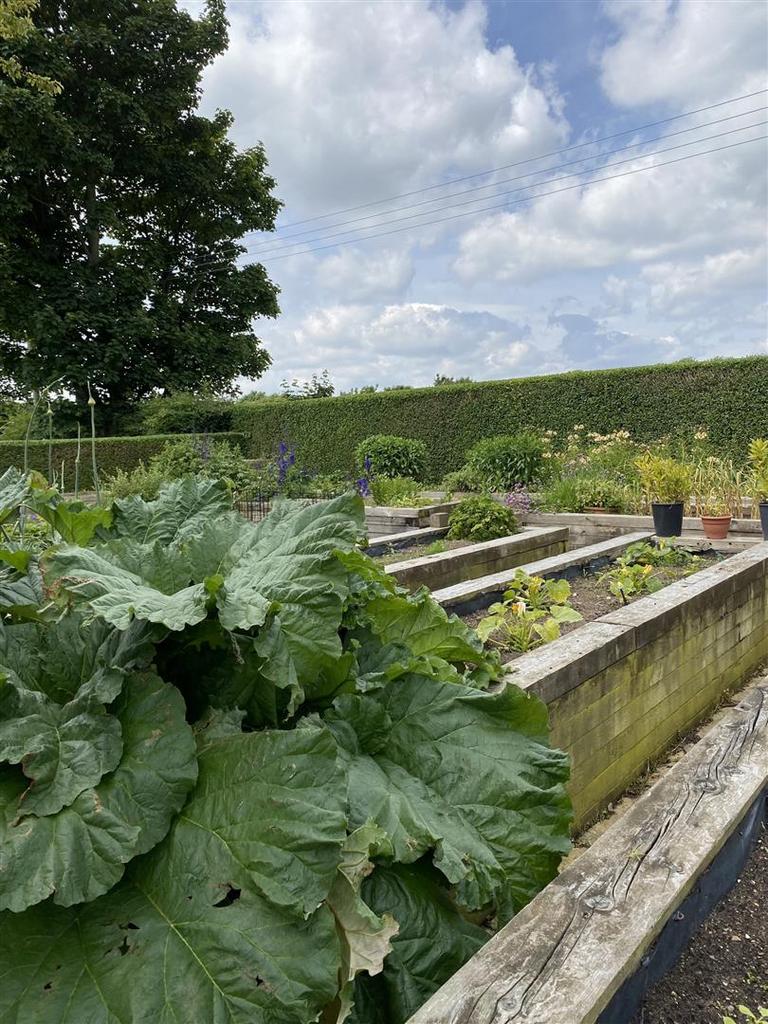 Garden: