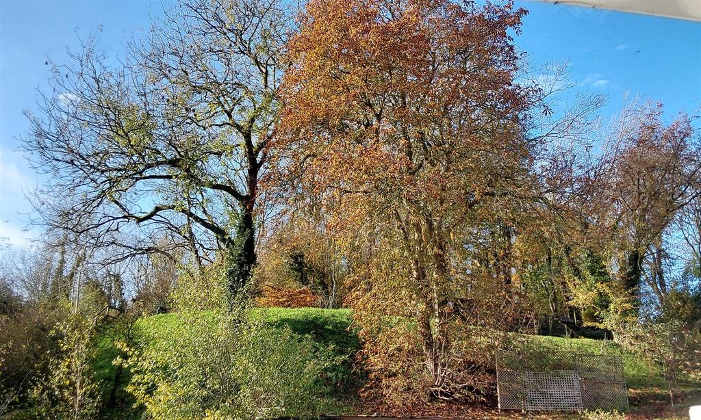 Woodland.jpg