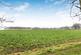 Additional image 24 of High Street, Little Chesterford CB10