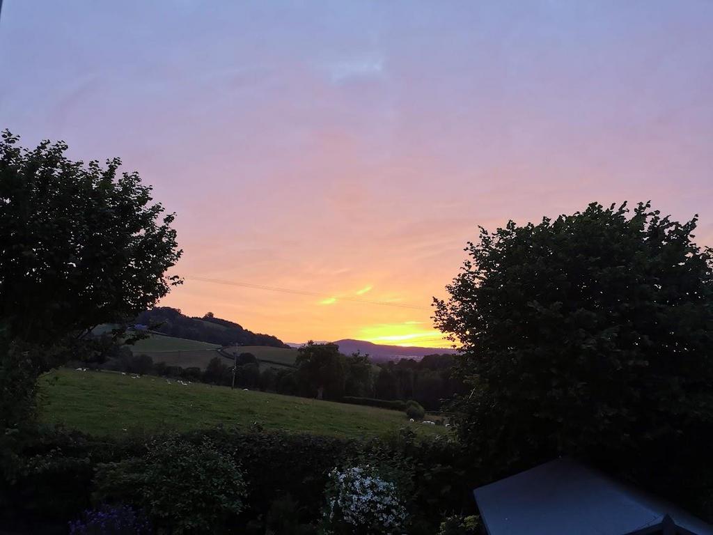IMG 20210702 213749.jpg