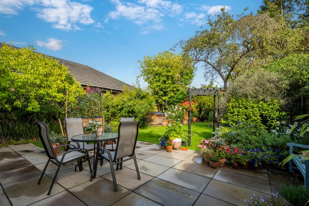 Patio Area