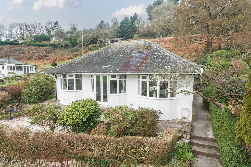 The Property