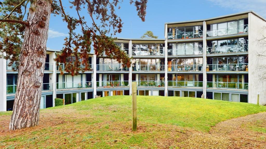 8f374b58-02122026 170500