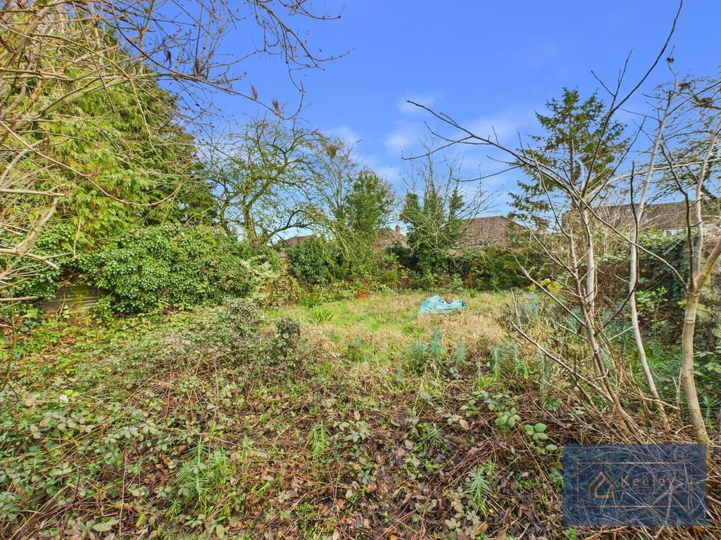 Garden 298a