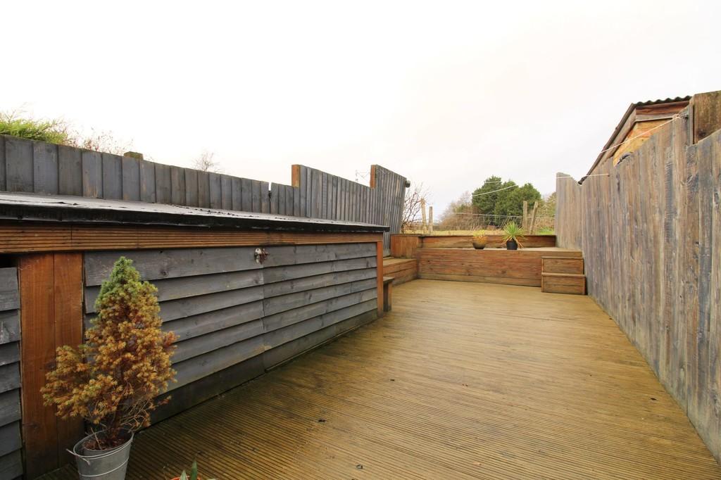 Back garden 2