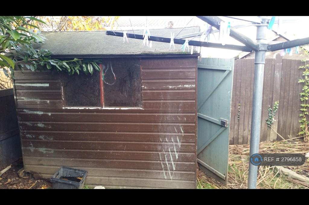 Shed