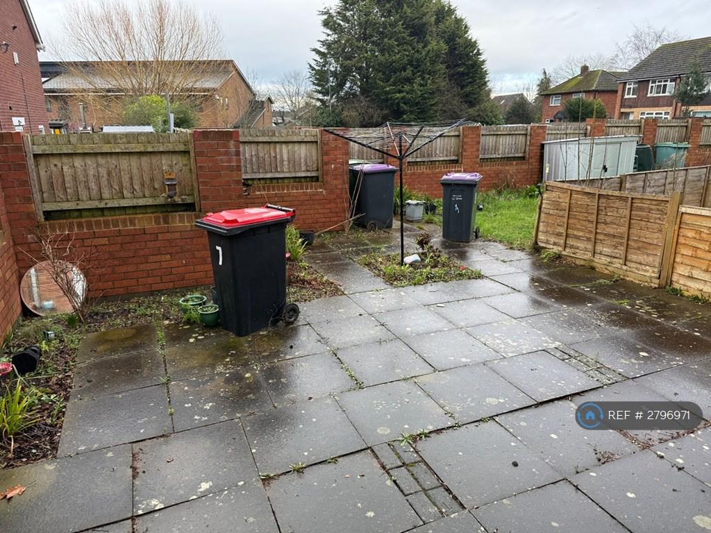 Back Garden