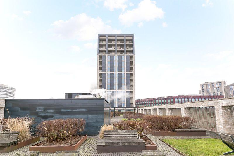 Communal Roof Garden