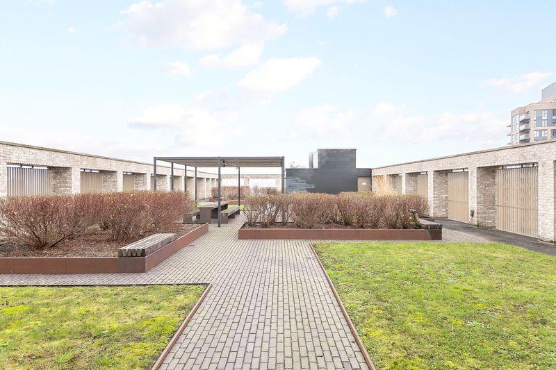 Communal Roof Garden