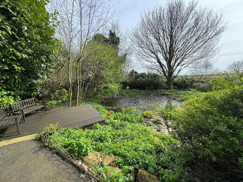 Communal Gardens