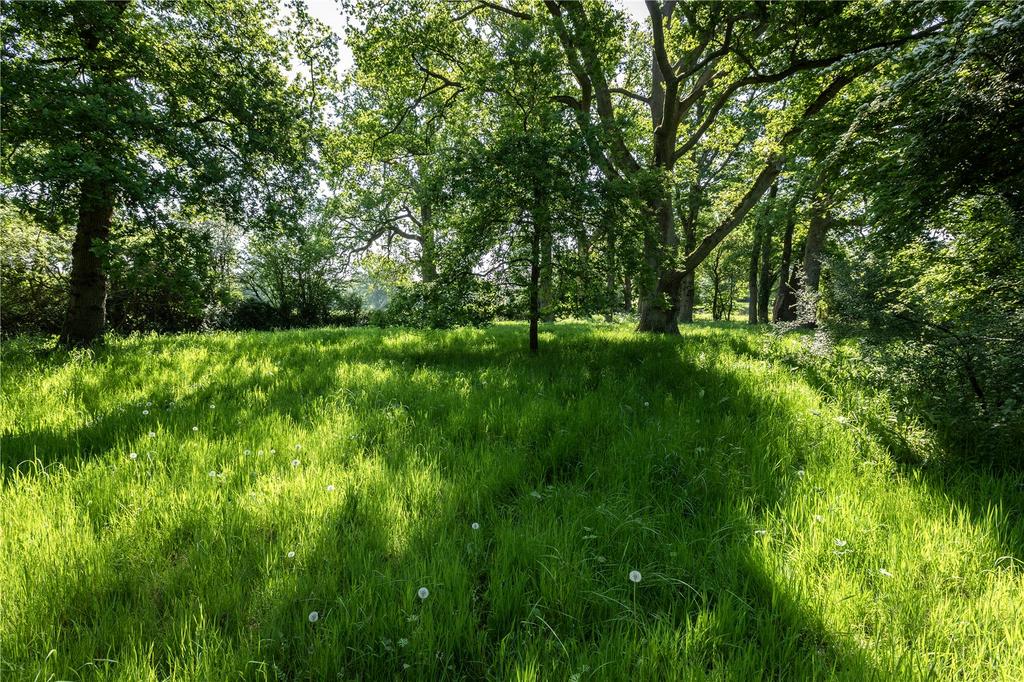 Woodland