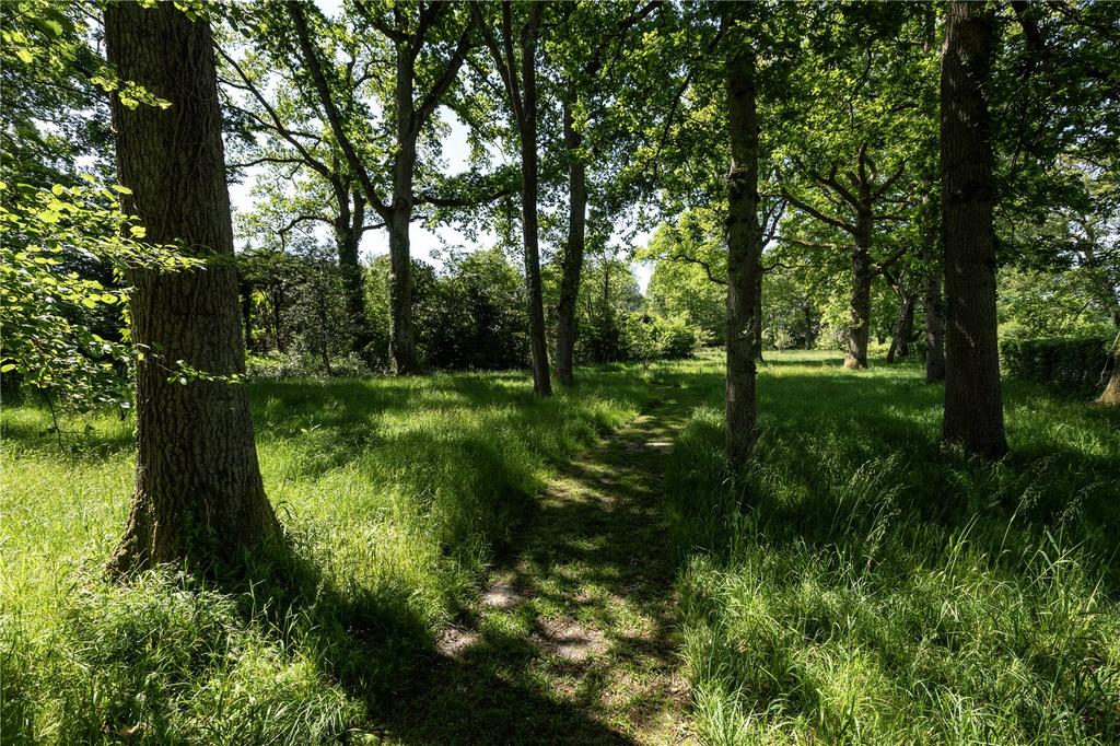 Woodland Path
