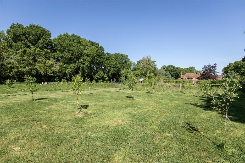 Orchard